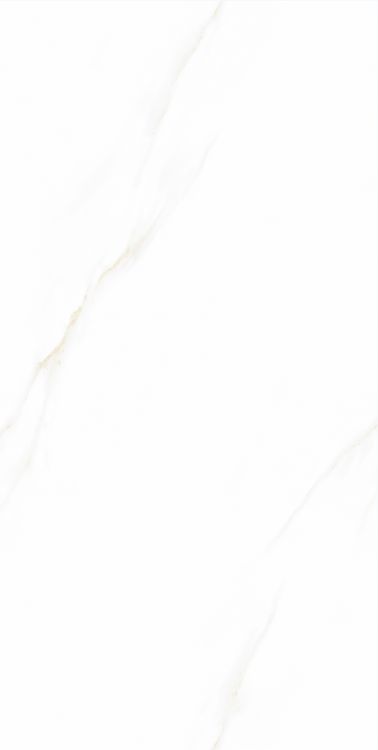 Time Cielo Matte 12 x 24